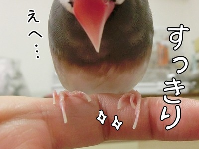 s-CIMG6526