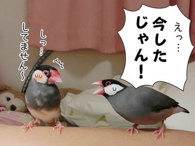 s-CIMG9366