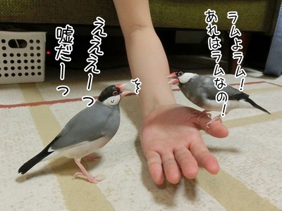 s-CIMG5732