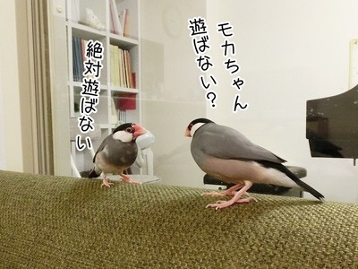 s-CIMG8798