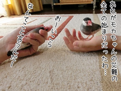s-CIMG0912