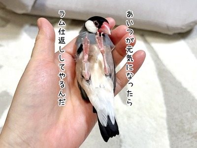 s-IMG_3520