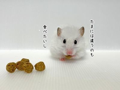 s-IMG_5809