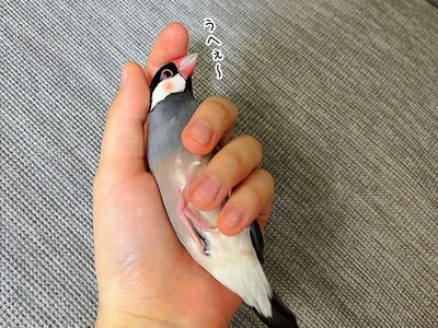 s-IMG_8400