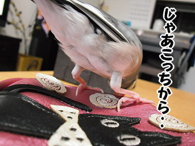 ブンチョ日誌