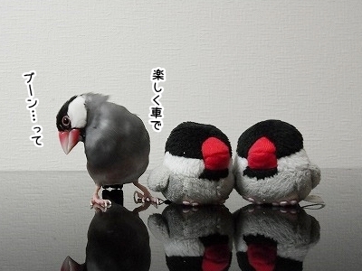 ブンチョ日誌