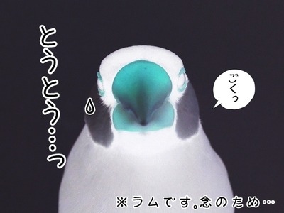 s-CIMG4443
