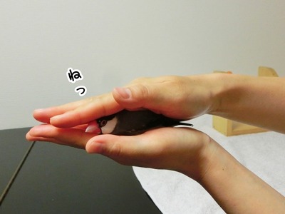 s-CIMG0130