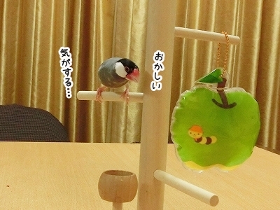 ブンチョ日誌