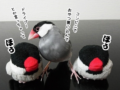 ブンチョ日誌