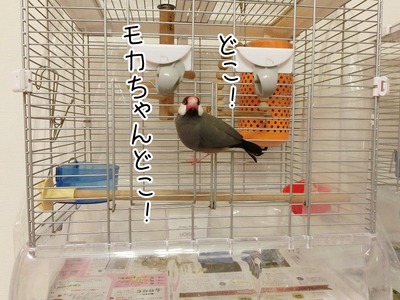 s-CIMG0280