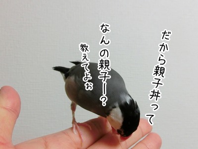 s-CIMG1164