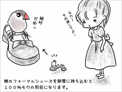 ブンチョ日誌