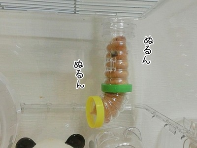 s-CIMG8693