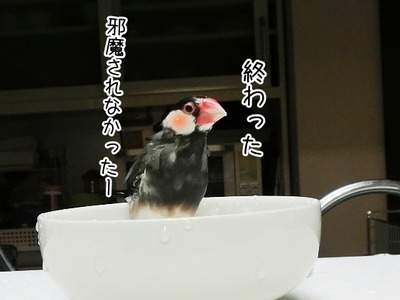 s-CIMG0274