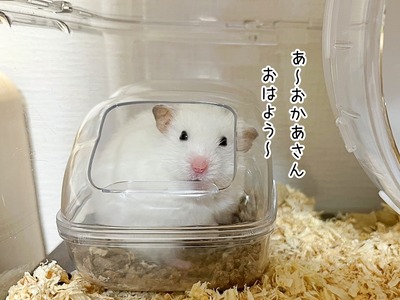 s-IMG_8118
