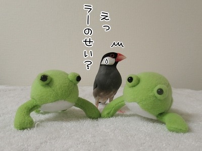 s-IMG_7025