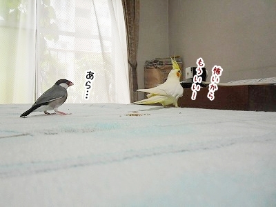 ブンチョ日誌