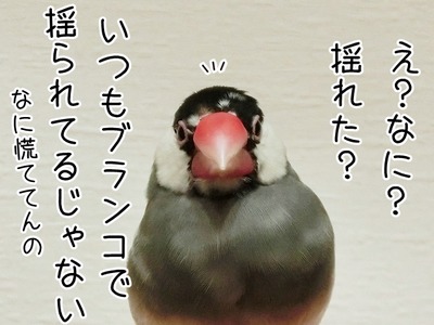 s-CIMG8122