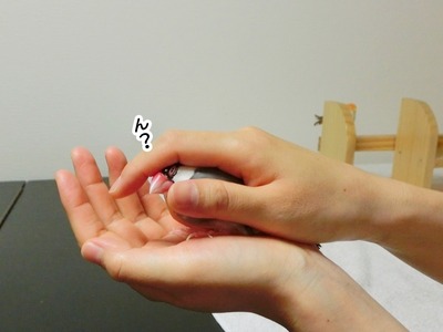 s-CIMG0137
