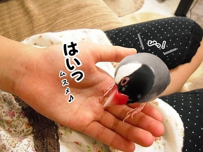 ブンチョ日誌