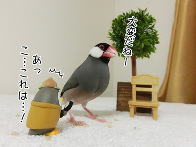 37
