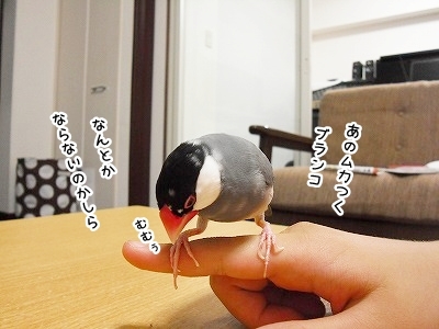 ブンチョ日誌