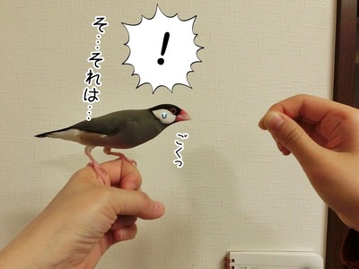 s-CIMG6484