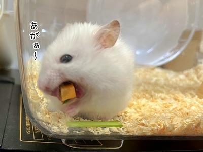 s-IMG_1588