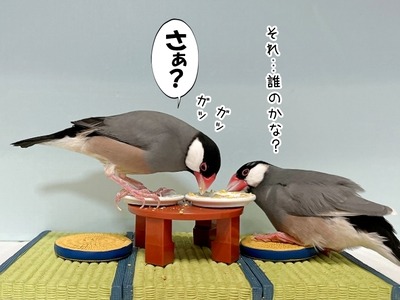 s-IMG_3009