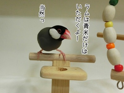 s-CIMG9297