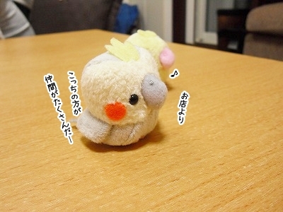 ブンチョ日誌