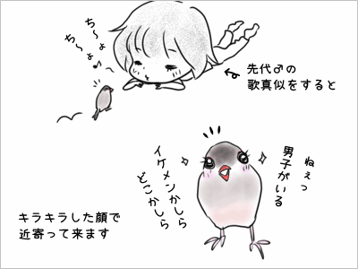 ブンチョ日誌