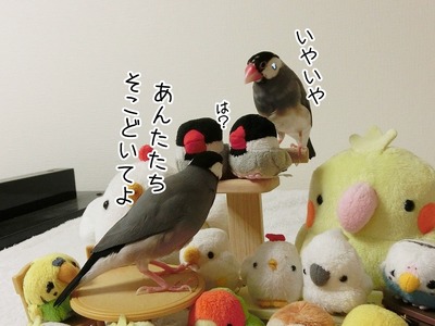 s-CIMG7798