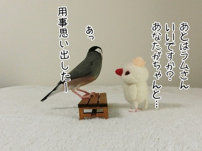 s-CIMG0251