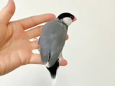 s-IMG_1881