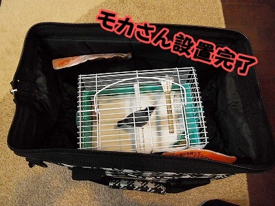 ブンチョ日誌