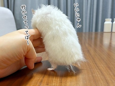 s-IMG_7954