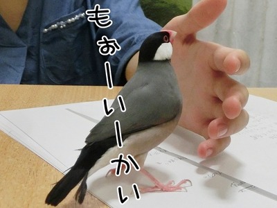 s-CIMG4188