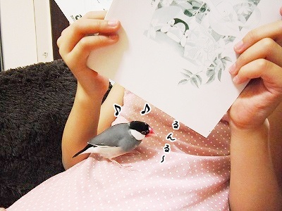 ブンチョ日誌