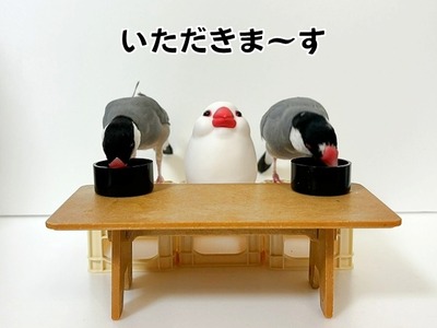 s-IMG_9403
