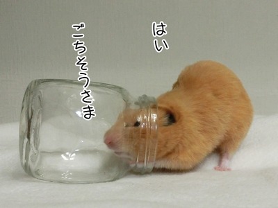 s-CIMG0790