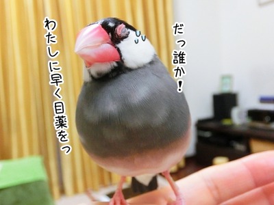 s-CIMG4484