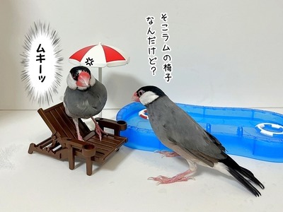s-IMG_0385