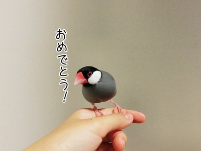 s-CIMG2572