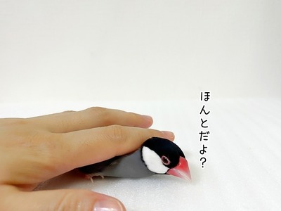 s-IMG_6674