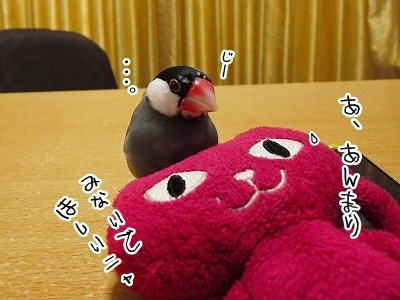 ブンチョ日誌