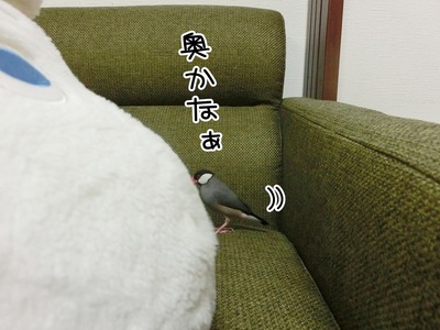 s-CIMG0151