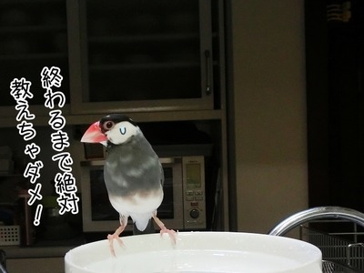 s-CIMG0258