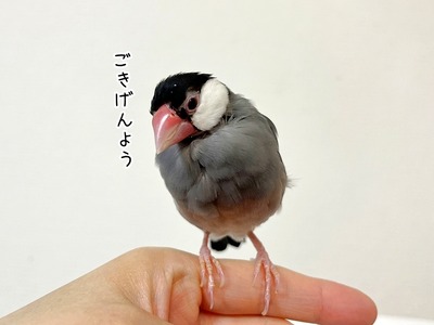 s-IMG_3869